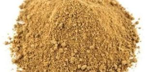 Mango Chutney Powder