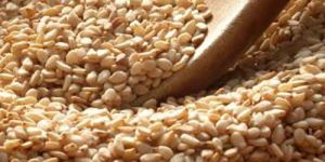 Natural Sesame Seeds