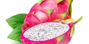 Fresh Dragon Fruit