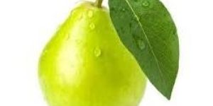 Fresh Pear