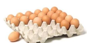 White Paper Egg Crate Tray