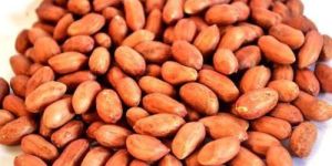 Dried Peanut Seeds