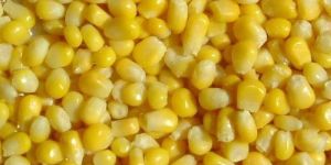 IQF CORN