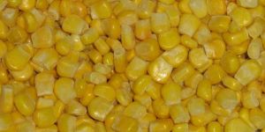 IQF Sweet Corn