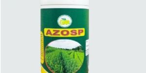 Azospirillum Biofertilizer
