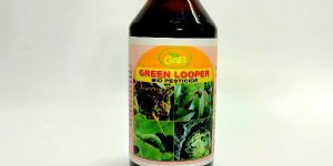 Bacillus Thuringiensis