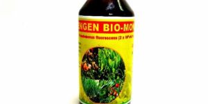 Pseudomonas Fluorescens