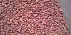 Redskin Peanuts