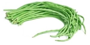 Fresh Green Beans