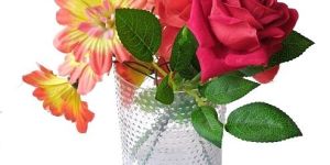 Glass Flower Vases