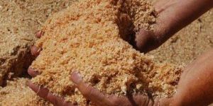 Sawdust Powder