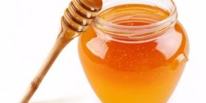 Organic Honey
