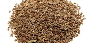 Ajwain Powder