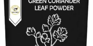 Green Coriander Powder
