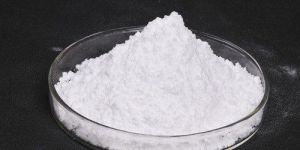 Phosphate Solubilizing Bacteria Powder