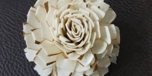 Sola Dahlia Cut Flower