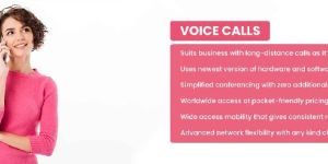 Voice Call Services