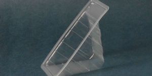 Small Disposable Sandwich Tray