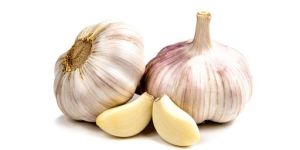 Fresh Garlic
