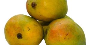 Fresh Raspuri Mango