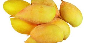 Fresh Totapuri Mango