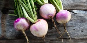 Fresh Turnips