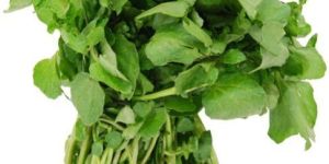 Fresh Watercress