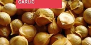 Himalayan Single Clove Garlic