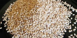 White Sesame Seed