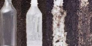 Biodegradable PET Bottle