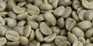Green Coffee Beans
