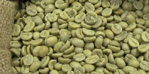 Robusta Coffee Beans