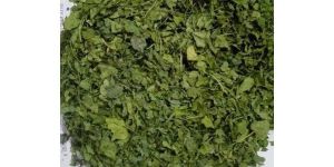 Dehydrated Kasuri Methi Leaves