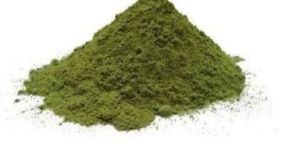 Dehydrated Kasuri Methi Powder