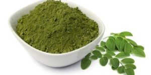 Moringa Oleifera Powder