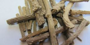 Tinospora Cordifolia Roots