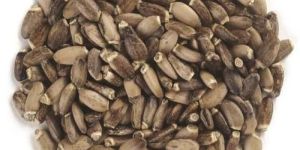 Milk Thistle Seeds