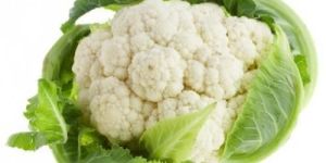 Fresh Cauliflower