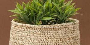 Planter Bags