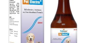 Instant Energy Electrolyte Liquid Dog Supplement