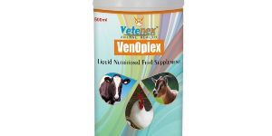 500ml Vitamin B Complex Liquid Cattle Supplement