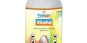 Multivitamin Liquid Cattle Supplement (Vitaful)
