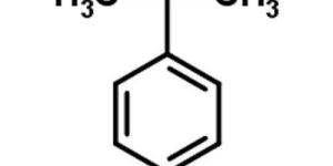 Para Tertiary Butylphenol