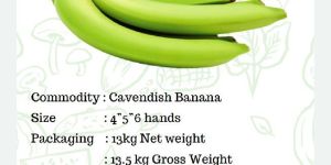 Cavendish Banana