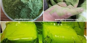 Moringa Powder