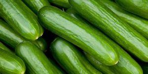 Fresh Cucumber