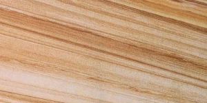 Teakwood Sandstone
