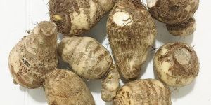 Fresh Taro Root