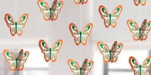 Tiranga Butterfly Frill