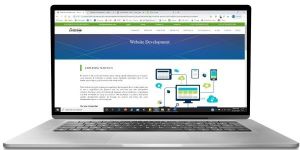 Web Development Services